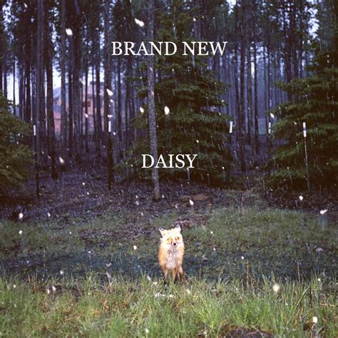 brand new lyrics|daisy brand new lyrics.